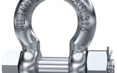 Understanding the Difference Between Bow Shackles and Dee Shackles