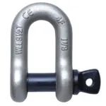 Dee Shackle